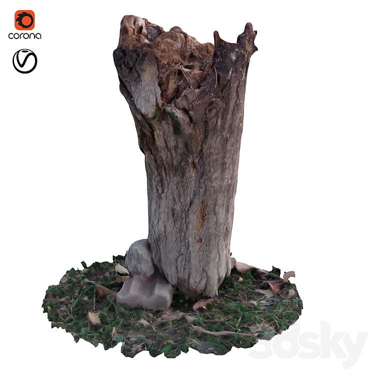 后备箱42（3715992_不规则_Vray,Corona）