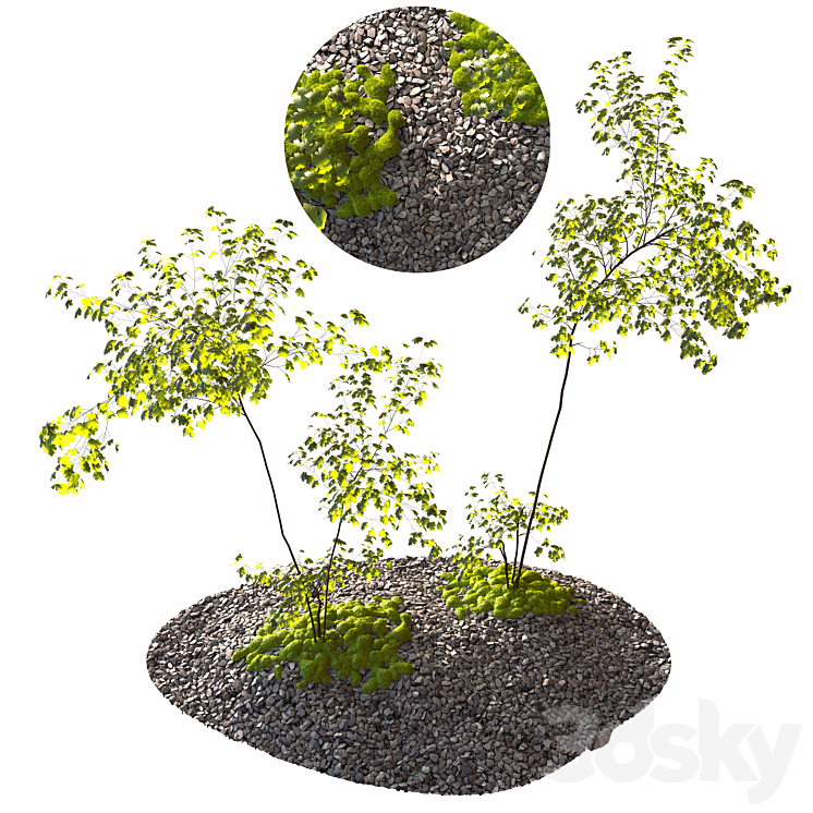 环境要素01（3888508_长方形_Vray,Corona）