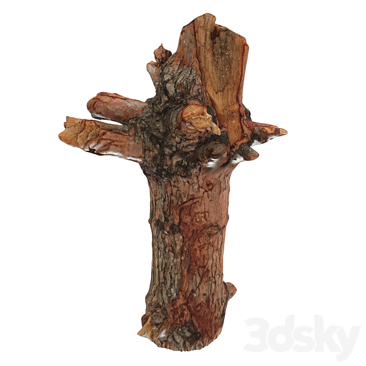 树干54（3893730_不规则_Vray）