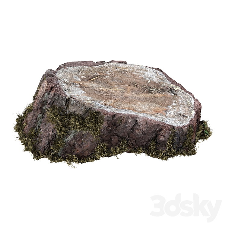 树桩2（4067602_不规则_Corona）