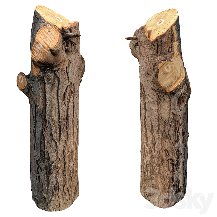 （4653969_不规则_Corona）