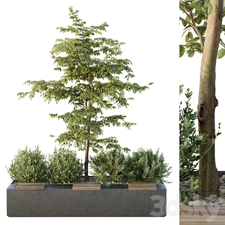 HQ城市环境组绿色植物长椅17（5879725_长方形_Vray,Corona）