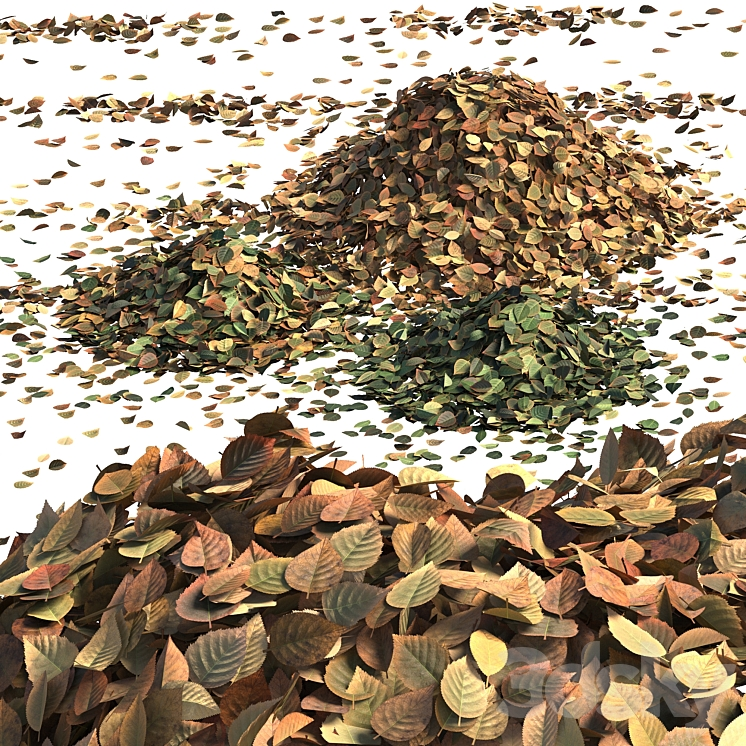 秋叶01（7181597_不规则_Corona）