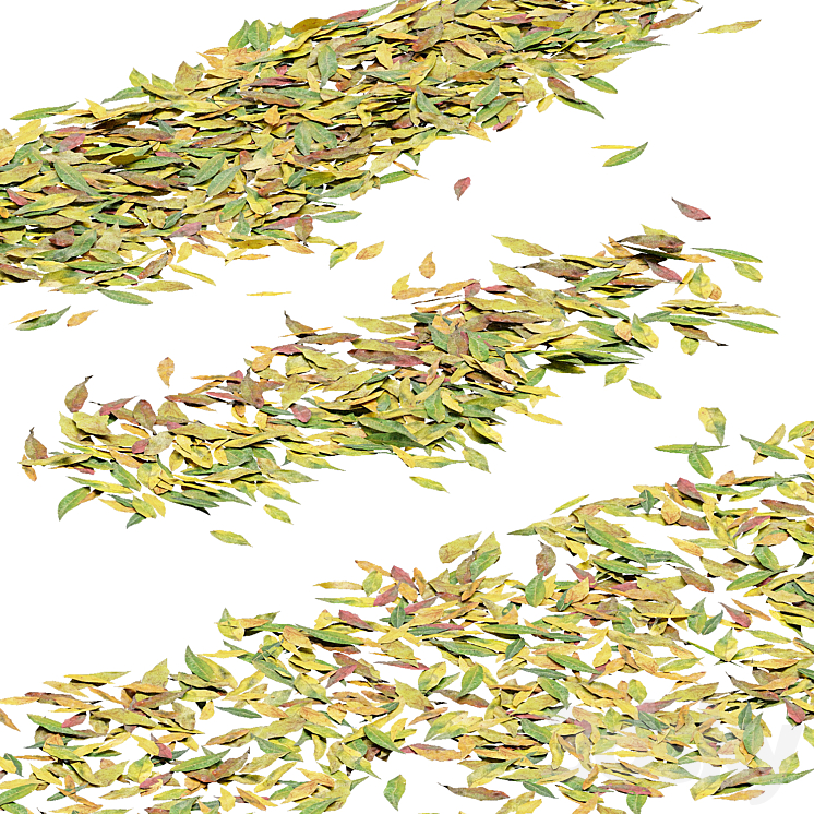 柳叶（7761049_不规则_Corona）