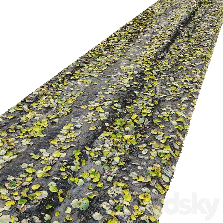 N02森林秋路16K材料。12米（8032012_长方形_Vray,Corona）