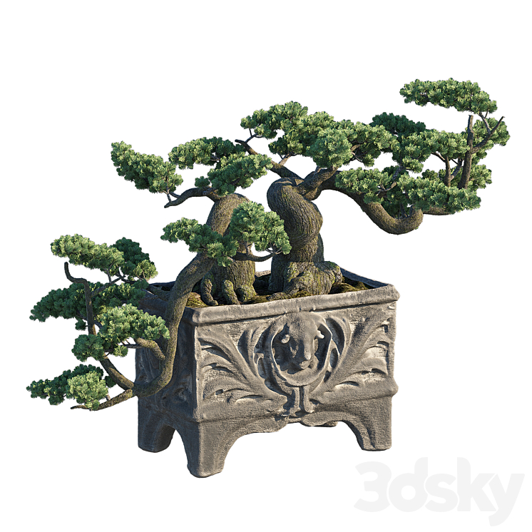 天使种植园主（8178788_长方形_Corona）